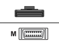 Quantum - SAS external cable