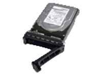 Dell Hot Plug - SSD - 1.6 TB