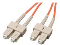 Tripp Lite 30M Duplex Multimode 62.5/125 Fiber Optic Patch Cable SC/SC 100&#x27; 100ft 30 Meter