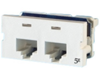 SIICLRTY5ET568A/B 2PORT2/8P8CWM IVY