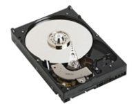 DELL 341-9251 500GB 2.5 SFF 7.2K 3GBPS SATA HDD G176J