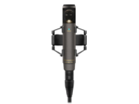 Universal studio condenser;dual outputs capsule for adjustable pick-up