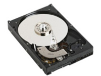 Dell - Solid state drive