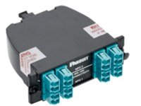 Panduit QuickNet 40 to 10GbE Fiber Optic Cassette