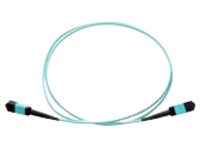 Axiom - Network cable