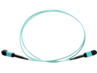 Axiom AX - Network cable