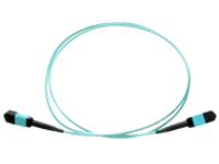 Axiom AX - Network cable