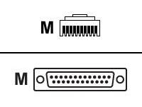 Perle - Serial adapter (DTE)