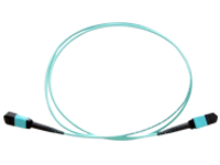 Axiom - Network cable