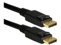 QVS - DisplayPort cable