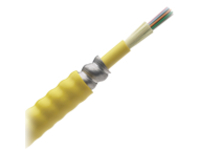 Panduit Opti-Core Fiber Optic Indoor Interlocking Armored Cable
