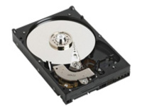 Dell - Hard drive - 2 TB