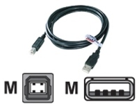 QVS - USB cable - USB (M) to USB Type B (M)
