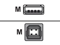 Zebra - USB cable - USB (M) to USB Type B (M)