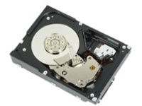 Dell - Hard drive - 1 TB