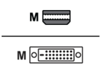 AddOn - video adapter cable - Mini DisplayPort to DVI-D - 91 cm