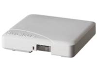 Ruckus ZoneFlex R600