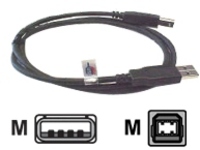 6FT CLEARLINKS CP-USB2-AB-6FT