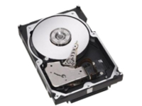Dell - Hard drive - 600 GB