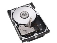 Dell - Hard drive - 600 GB