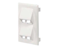 Panduit Pan-Way Classic Series Snap-On Faceplate