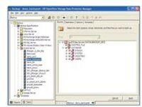 Micro Focus Data Protector Granular Recovery Extension