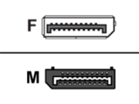 Raritan - DisplayPort adapter