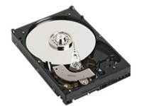 Dell - Hard drive - 1.8 TB