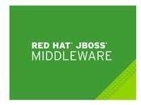 JBoss Enterprise Application Platform with Management