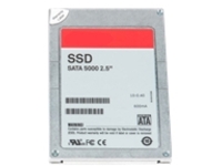 Dell - SSD - 480 GB - hot-swap