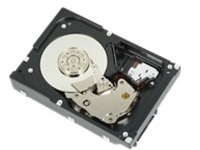 Dell - Hard drive - 6 TB