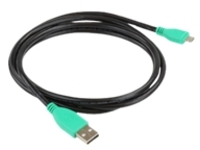 Ram GDS - USB cable - USB (M) to Micro-USB Type B (M)