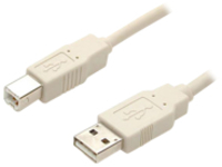 StarTech.com 10 ft Beige A to B USB 2.0 Cable