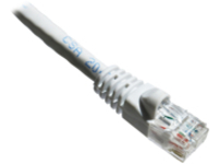 Axiom patch cable - 6.1 m - white