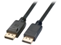 Axiom - DisplayPort cable