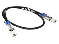Axiom - SAS external cable