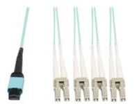 Eaton Tripp Lite Series MTP/MPO Fan-Out Cable, MTP/MPO to 4xLC, 40GbE, 40GBASE-SR4, OM3 Plenum-Rated