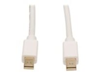 Tripp Lite 10ft Mini DisplayPort to Mini DisplayPort Adapter Converter mDP to mDP 4k x 2k @ 60Hz M/M 10'
