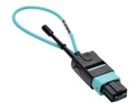 Tripp Lite MTP / MPO Fiber Optic Loopback Tester Multimode 50/125um OM3