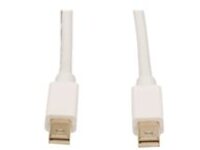 Tripp Lite 3ft Mini Displayport to Mini DisplayPort Adapter Converter mDP to mDP 4k x 2k @ 60Hz M/M 3'