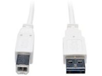 Tripp Lite 6ft USB 2.0 High Speed Cable Reverisble A to B M/M White 6'