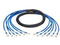 Tripp Lite 15ft Augmented Cat6 Cat6a Pre-Terminated Copper Trunk Bundle 6xRJ45 M/M 15'