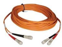 Eaton Tripp Lite Series Duplex Multimode 50/125 Fiber Patch Cable (SC/SC), 3M (10 ft.)