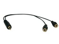Tripp Lite 1ft Mini Stereo Dubbing Cable Y 3.5mm M to 2xF