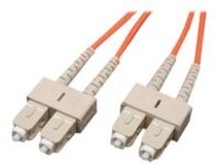 Tripp Lite 100M Duplex Multimode 62.5/125 Fiber Optic Patch Cable SC/SC 328' 328ft 100 Meter