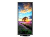 NEC MultiSync EA294WMi-BK