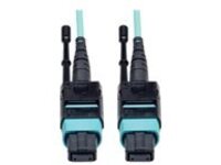 Tripp Lite 10M MTP / MPO Patch Cable 12 Fiber 40GbE Aqua OM3 Plenum 33ft 33' 10 Meter