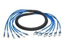 Tripp Lite 10ft Augmented Cat6 Cat6a Pre-Terminated Copper Trunk Bundle 6xRJ45 M/F 10&#x27;