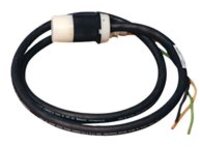Tripp Lite 30ft Single Phase Whip 120V L5-20R for Breakered 3-Phase Distribution Cabinets 30'