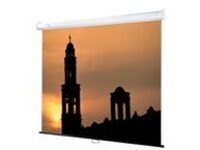Draper Luma - Projection screen